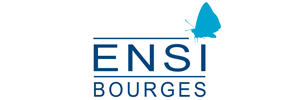 École Nationale Supérieure d'Ingérnieurs de Bourges